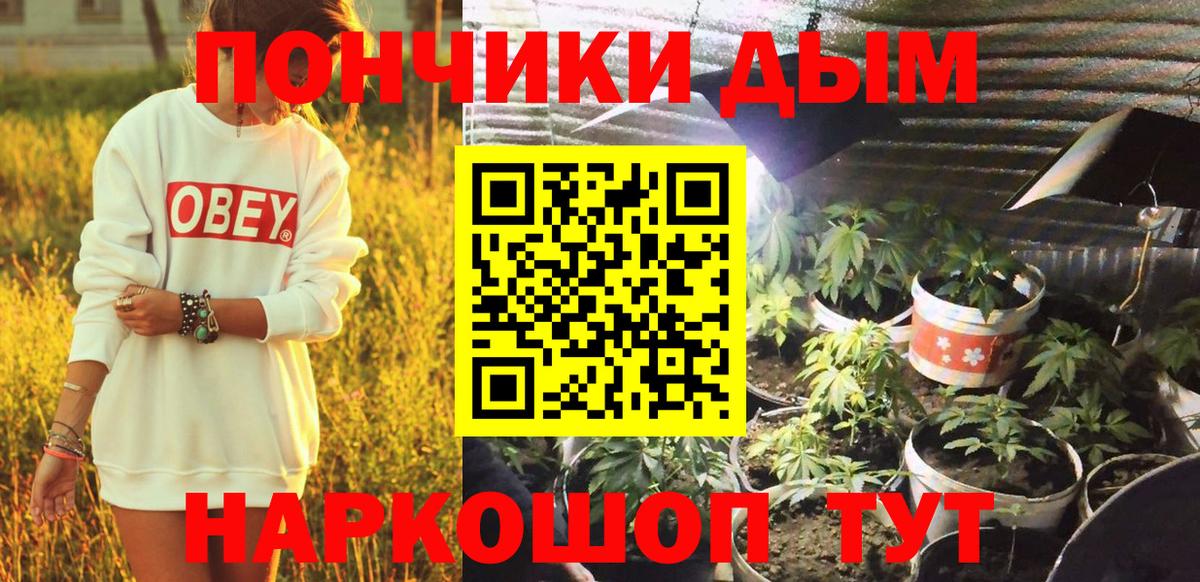Бошки Шишки планчик  Каннабис семена  Вход с VPN  Кудрово  Бошки Шишки Amnesia 